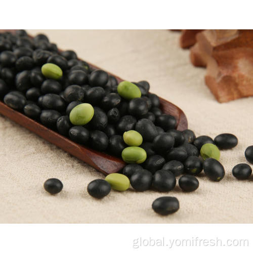 China Black Bean Rice Factory